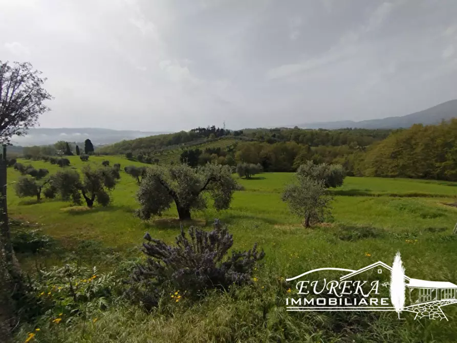 Immagine 9 di Terreno in vendita  in via gonzarelli a Chiusi