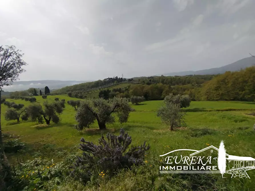 Immagine 10 di Terreno in vendita  in via gonzarelli a Chiusi