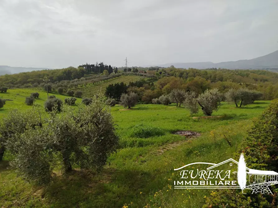 Immagine 11 di Terreno in vendita  in via gonzarelli a Chiusi