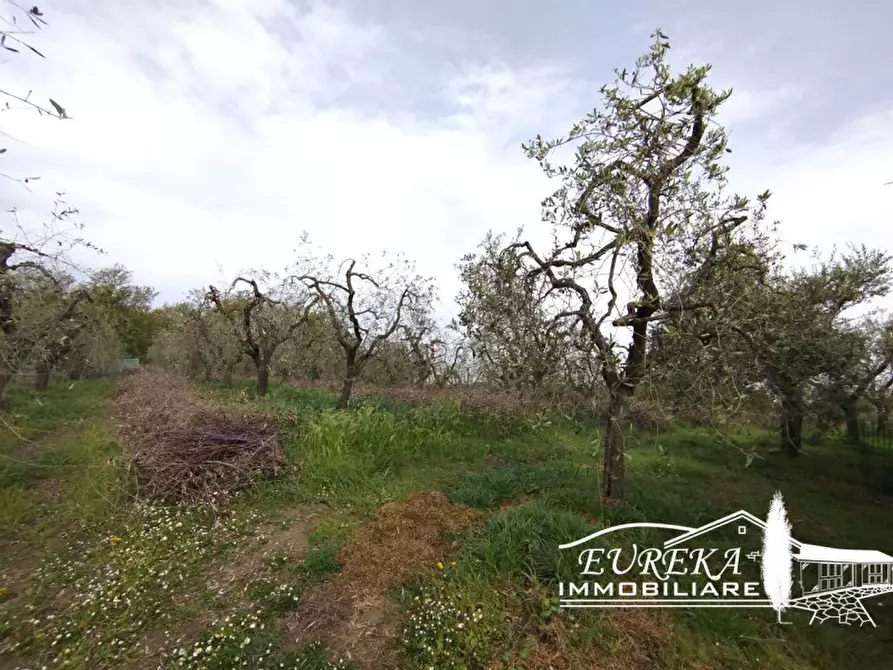 Immagine 12 di Terreno in vendita  in via gonzarelli a Chiusi