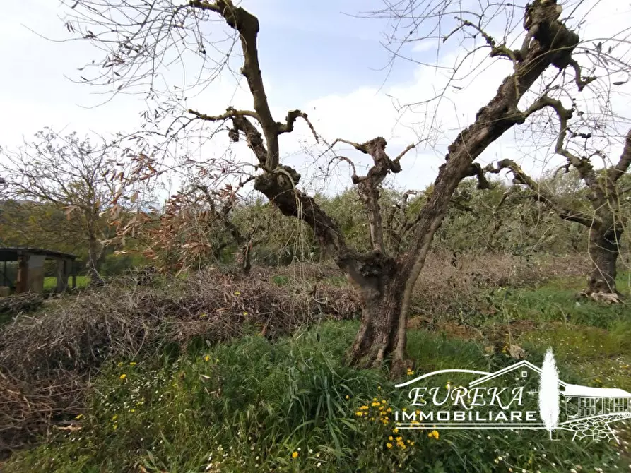 Immagine 14 di Terreno in vendita  in via gonzarelli a Chiusi