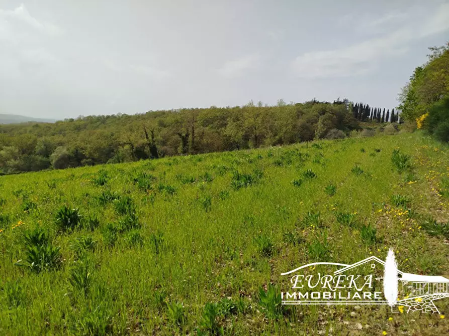 Immagine 23 di Terreno in vendita  in via gonzarelli a Chiusi