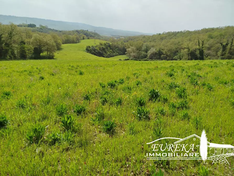 Immagine 24 di Terreno in vendita  in via gonzarelli a Chiusi
