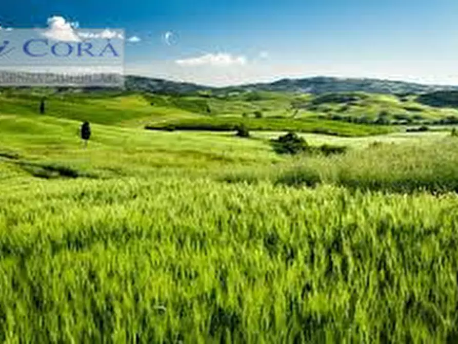 Immagine 2 di Terreno in vendita  a Abano Terme