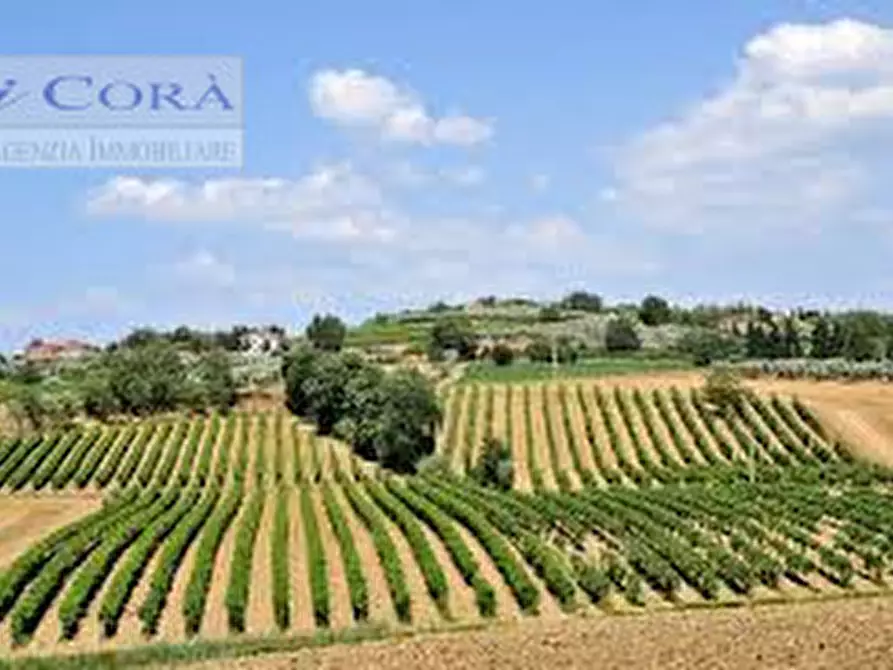 Immagine 3 di Terreno in vendita  a Abano Terme