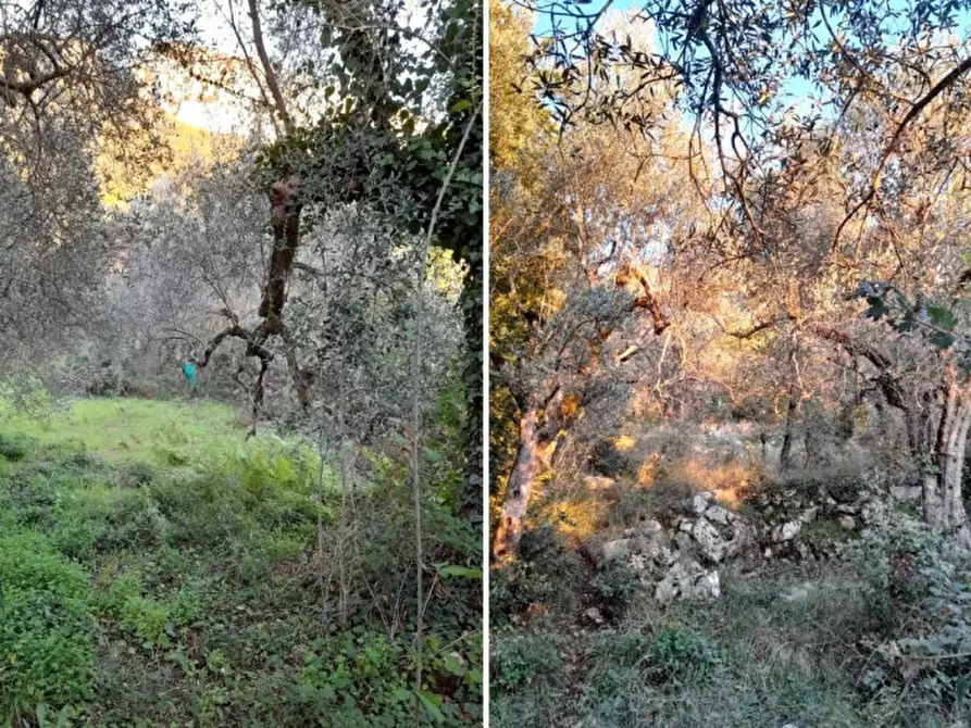 Immagine 1 di Terreno in vendita  in SR488, Postiglione SA, Italia a Postiglione