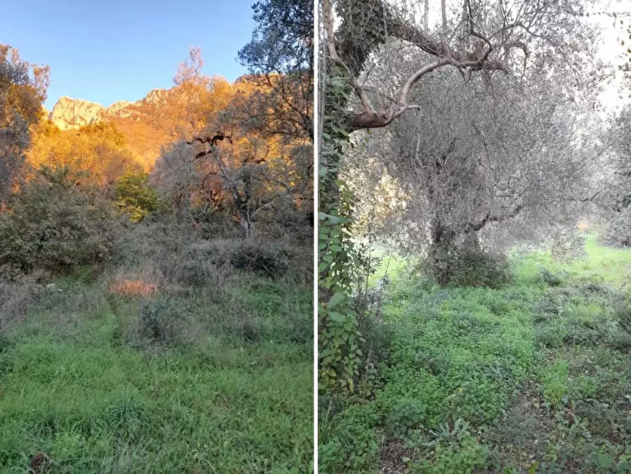 Immagine 2 di Terreno in vendita  in SR488, Postiglione SA, Italia a Postiglione