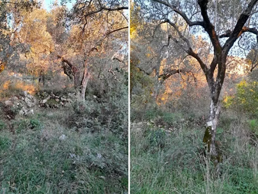 Immagine 3 di Terreno in vendita  in SR488, Postiglione SA, Italia a Postiglione