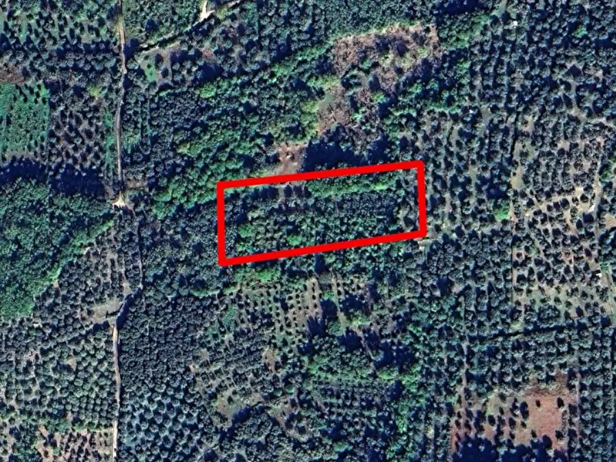 Immagine 8 di Terreno in vendita  in SR488, Postiglione SA, Italia a Postiglione