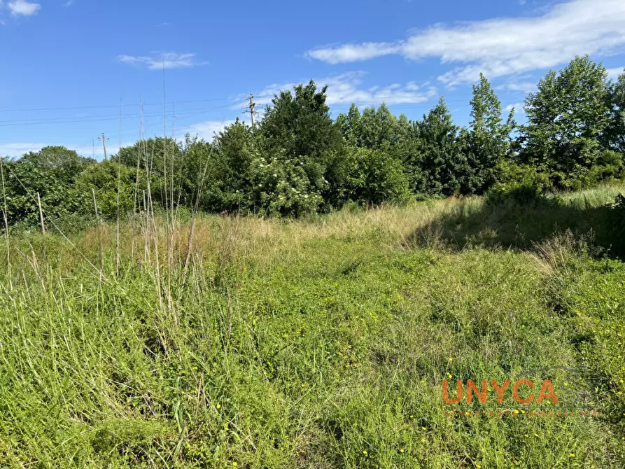 Immagine 3 di Rustico / casale in vendita  a Villafranca Padovana