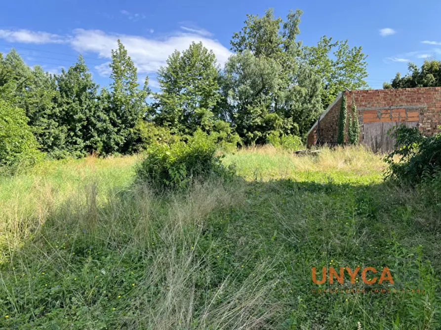 Immagine 5 di Rustico / casale in vendita  a Villafranca Padovana