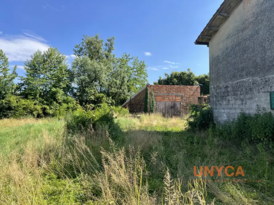 Immagine 6 di Rustico / casale in vendita  a Villafranca Padovana