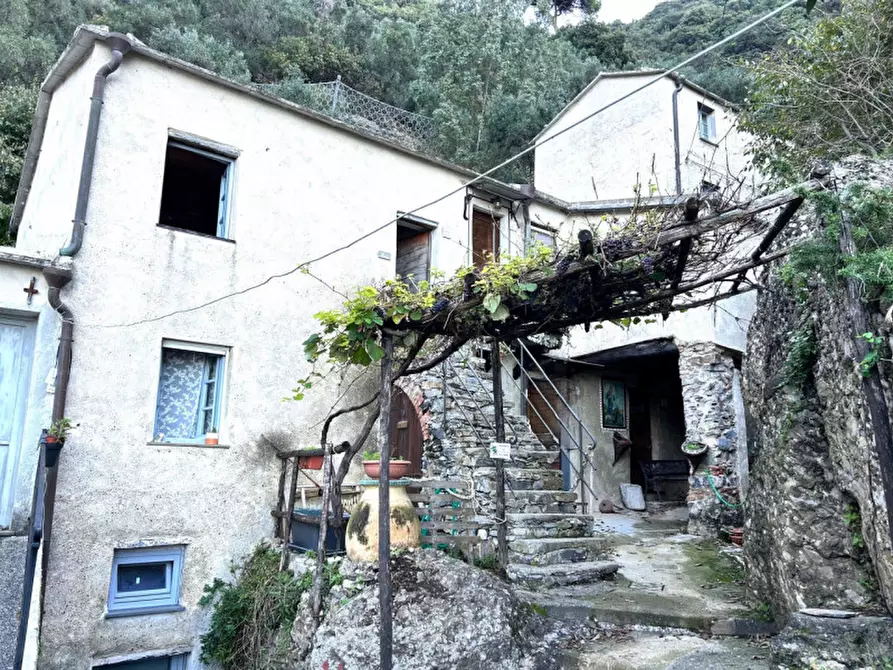 Immagine 3 di Appartamento in vendita  in Via San Fruttuoso a Camogli
