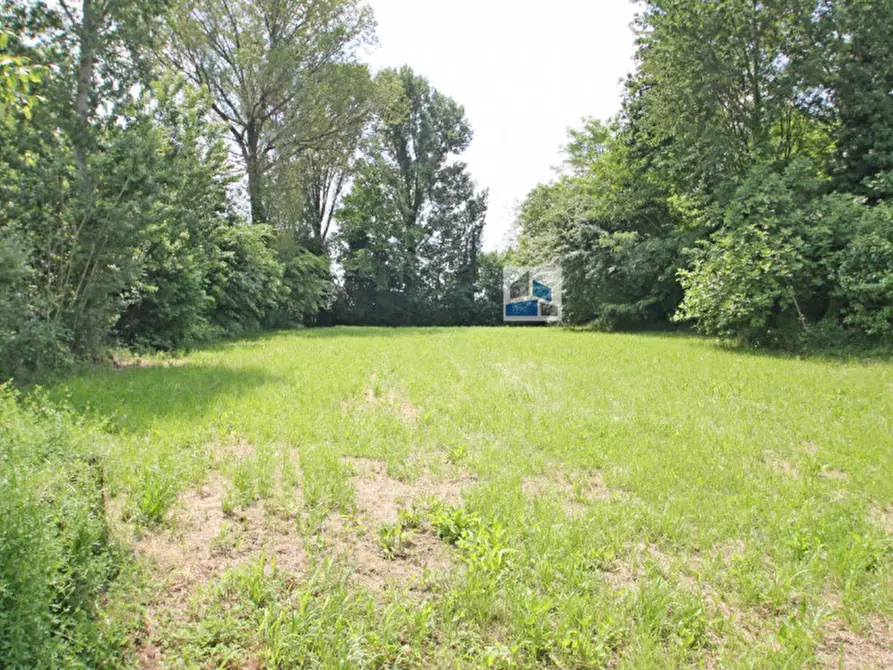 Immagine 2 di Rustico / casale in vendita  in Via dei Carpini a Santa Maria Di Sala