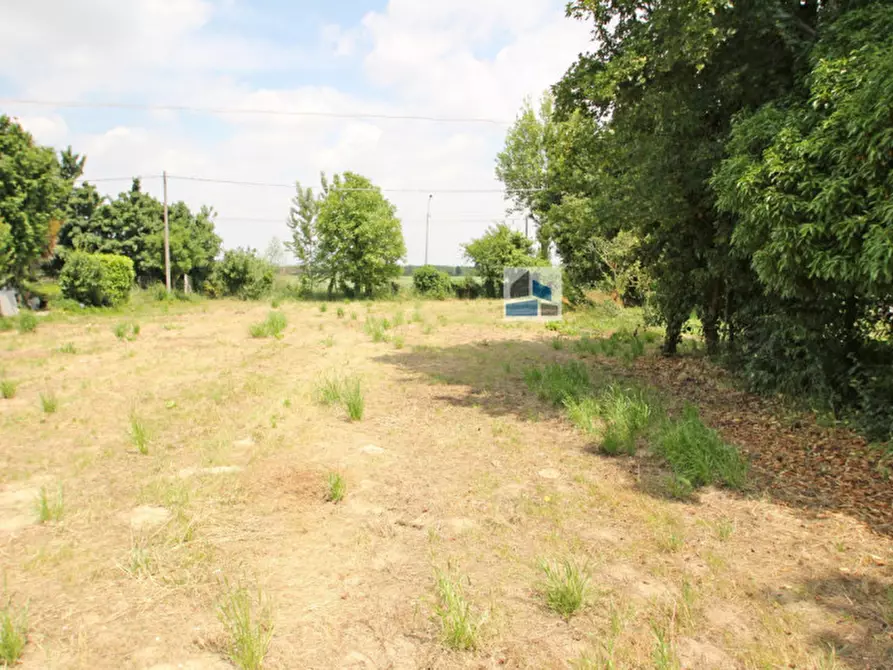 Immagine 3 di Rustico / casale in vendita  in Via dei Carpini a Santa Maria Di Sala