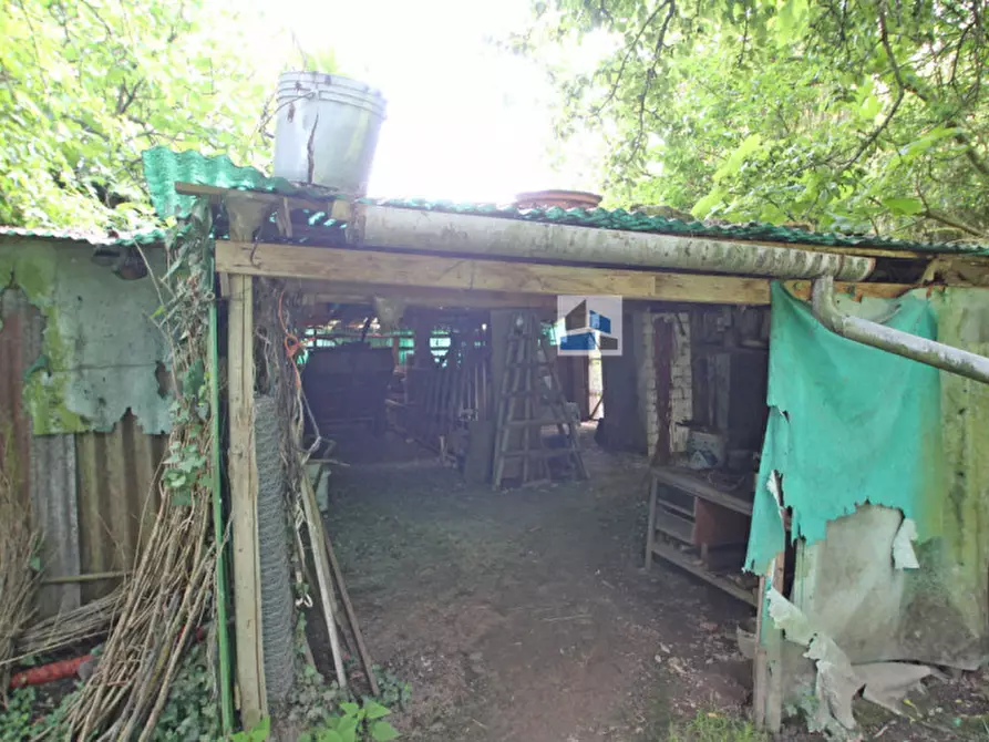 Immagine 5 di Rustico / casale in vendita  in Via dei Carpini a Santa Maria Di Sala