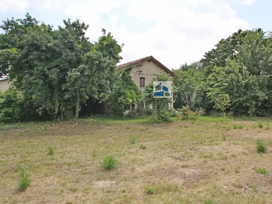 Immagine 6 di Rustico / casale in vendita  in Via dei Carpini a Santa Maria Di Sala