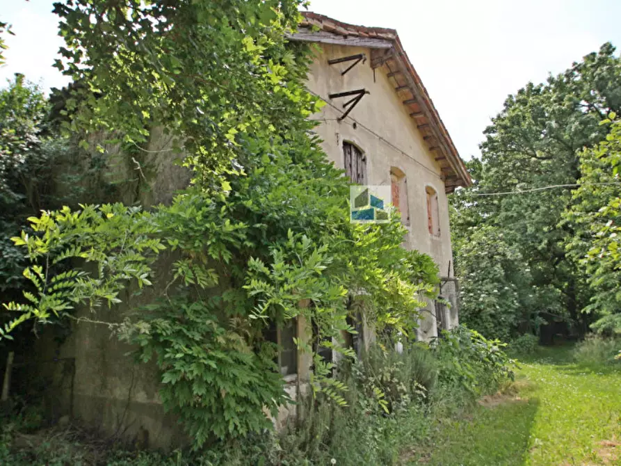 Immagine 7 di Rustico / casale in vendita  in Via dei Carpini a Santa Maria Di Sala