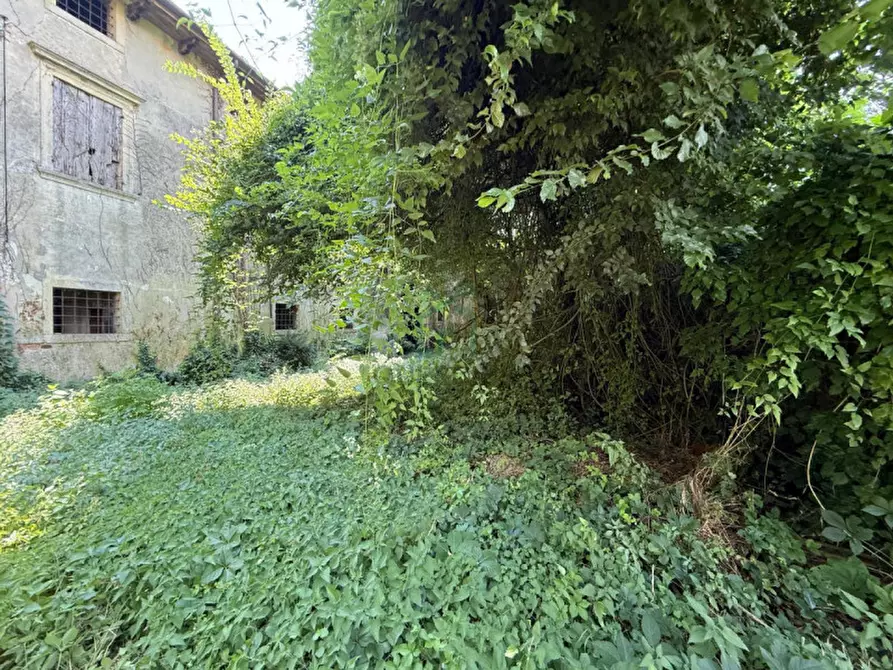 Immagine 6 di Villa in vendita  a Colognola Ai Colli