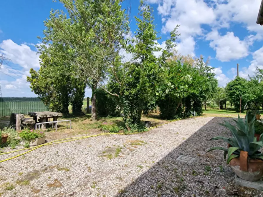 Immagine 29 di Casa indipendente in vendita  in SP413R a Carpi