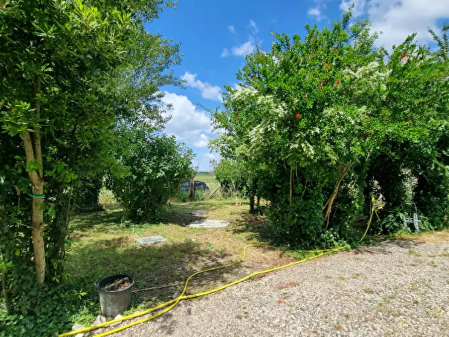 Immagine 31 di Casa indipendente in vendita  in SP413R a Carpi