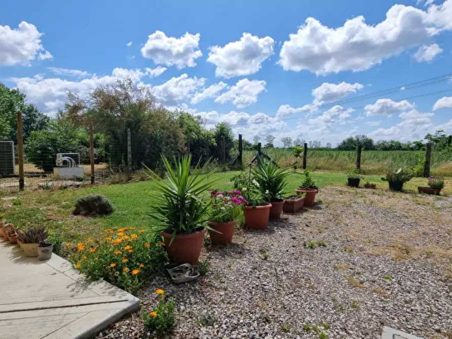 Immagine 34 di Casa indipendente in vendita  in SP413R a Carpi