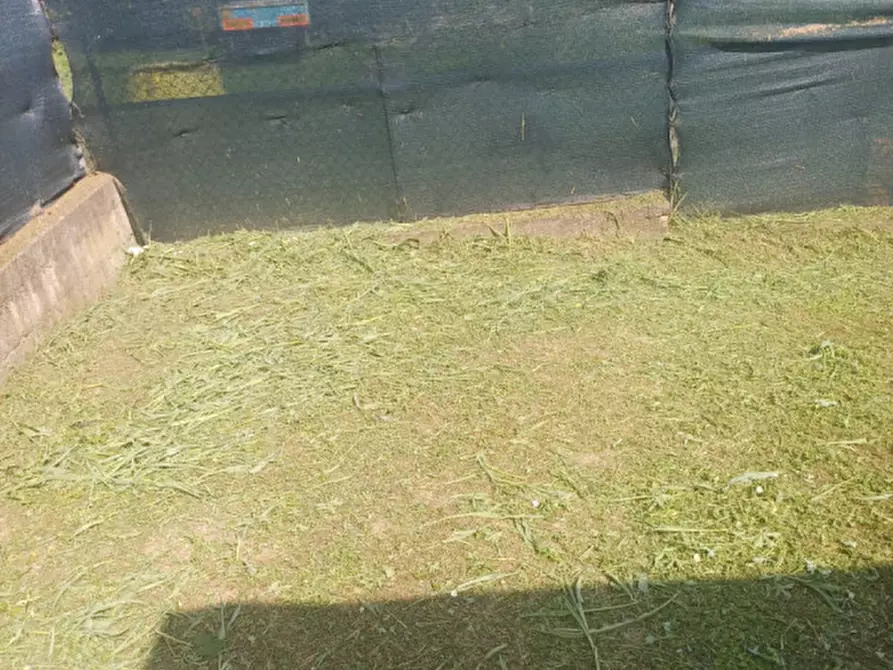 Immagine 4 di Terreno in vendita  in Via Enrico Fermi a Barbarano Mossano