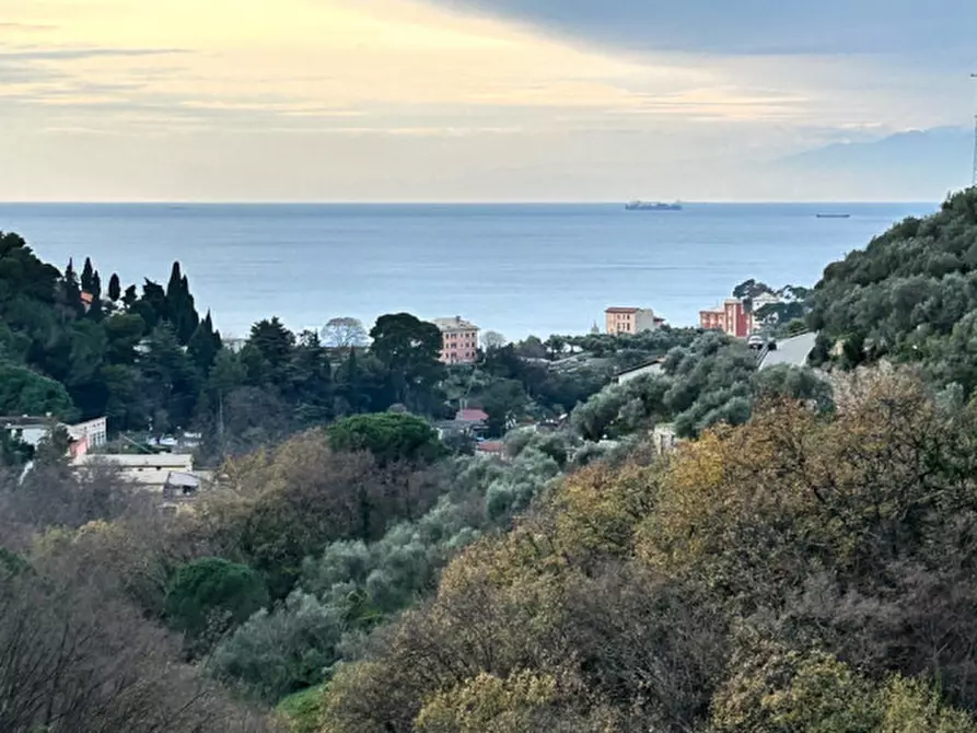 Immagine 15 di Villa in vendita  in Via Carbonara a Recco