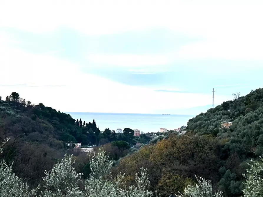 Immagine 19 di Villa in vendita  in Via Carbonara a Recco