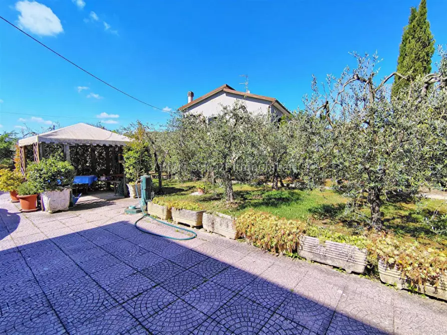 Immagine 21 di Casa bifamiliare in vendita  in via pian delle noci a Montepulciano