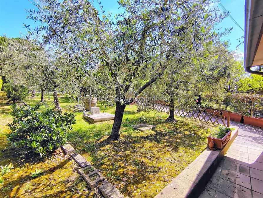 Immagine 22 di Casa bifamiliare in vendita  in via pian delle noci a Montepulciano