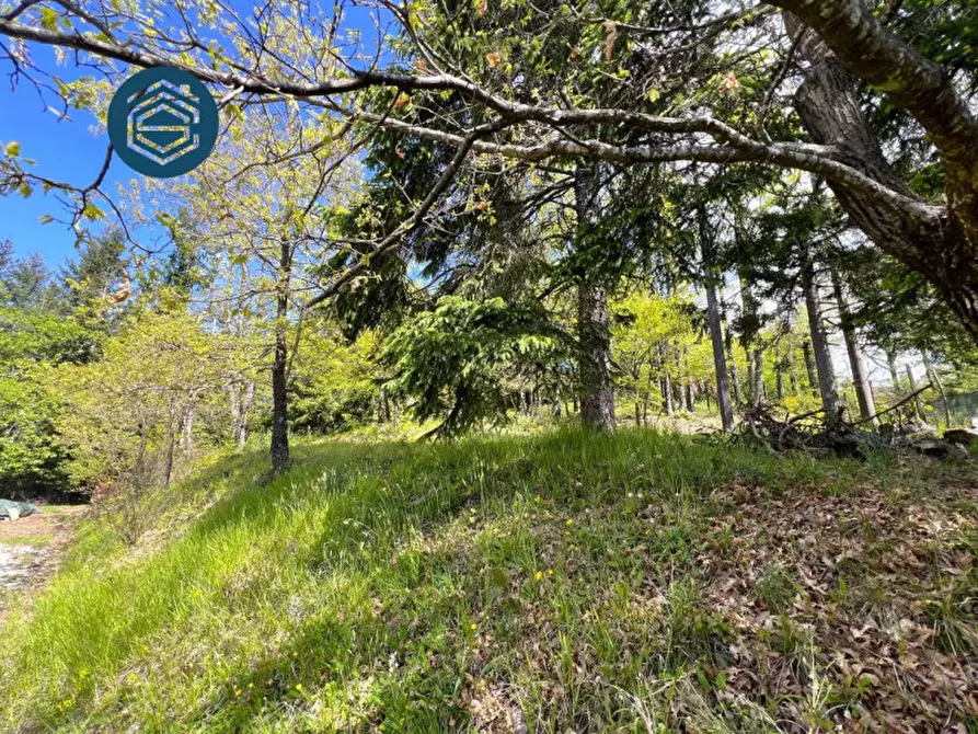 Immagine 4 di Rustico / casale in vendita  in Via Mammianese 685 a Marliana