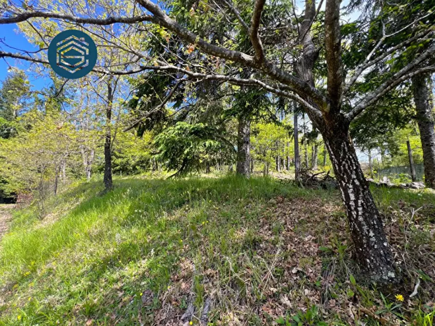 Immagine 5 di Rustico / casale in vendita  in Via Mammianese 685 a Marliana