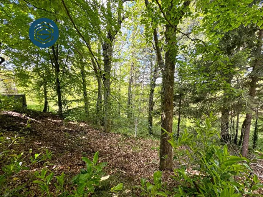 Immagine 12 di Rustico / casale in vendita  in Via Mammianese 685 a Marliana