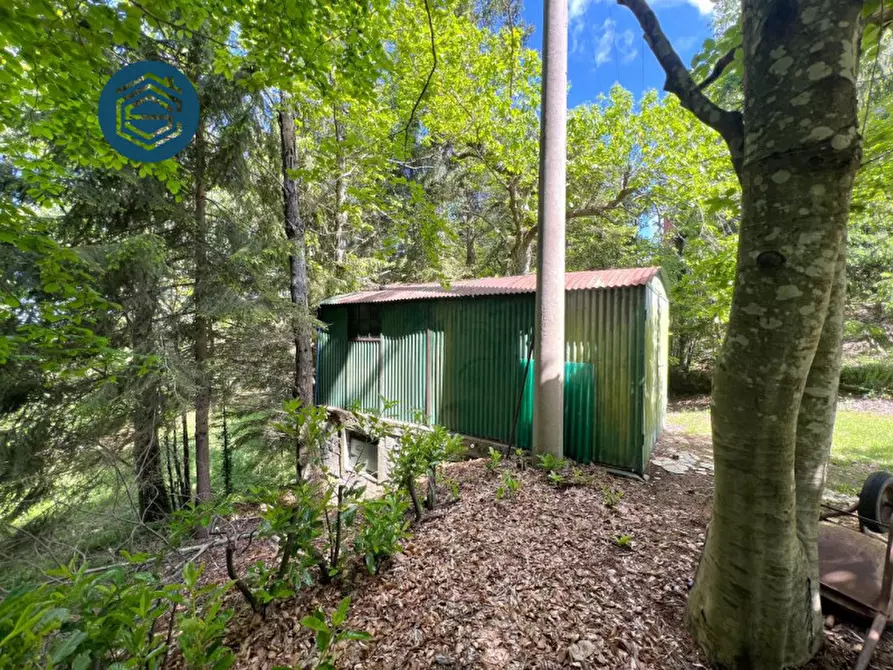 Immagine 13 di Rustico / casale in vendita  in Via Mammianese 685 a Marliana