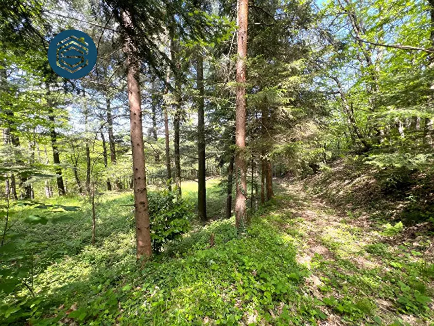 Immagine 14 di Rustico / casale in vendita  in Via Mammianese 685 a Marliana