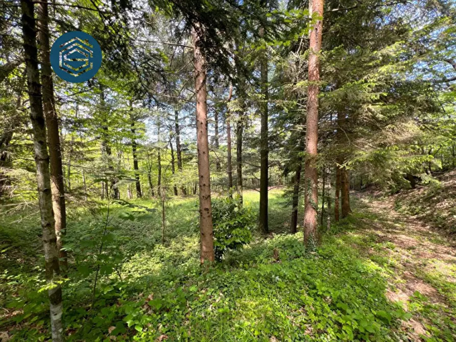 Immagine 15 di Rustico / casale in vendita  in Via Mammianese 685 a Marliana