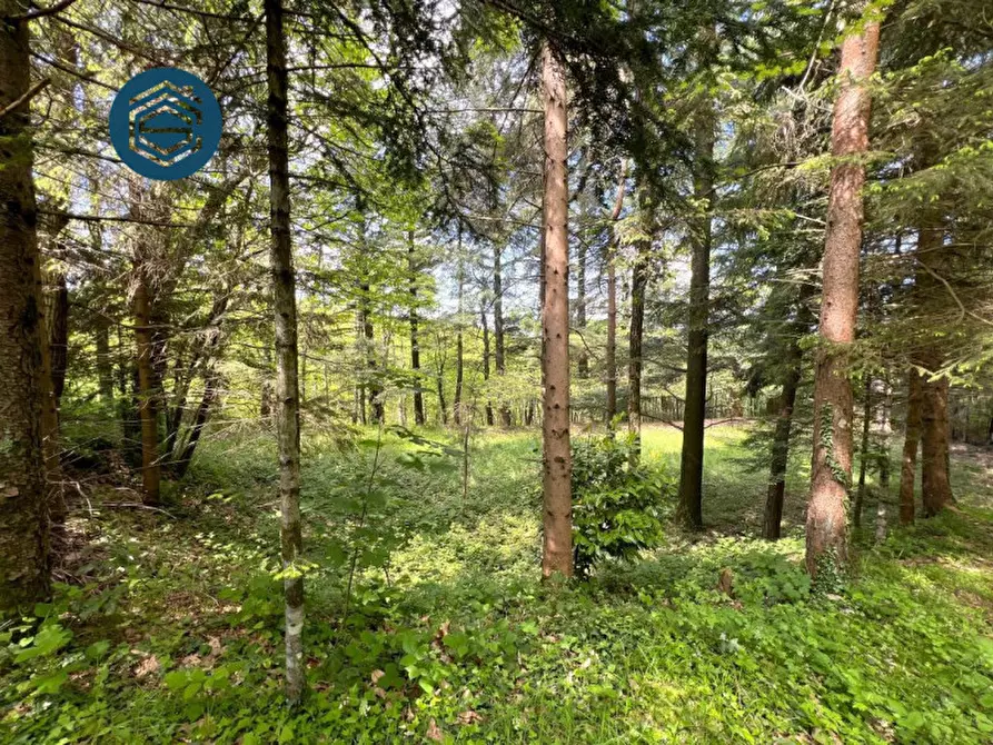 Immagine 16 di Rustico / casale in vendita  in Via Mammianese 685 a Marliana