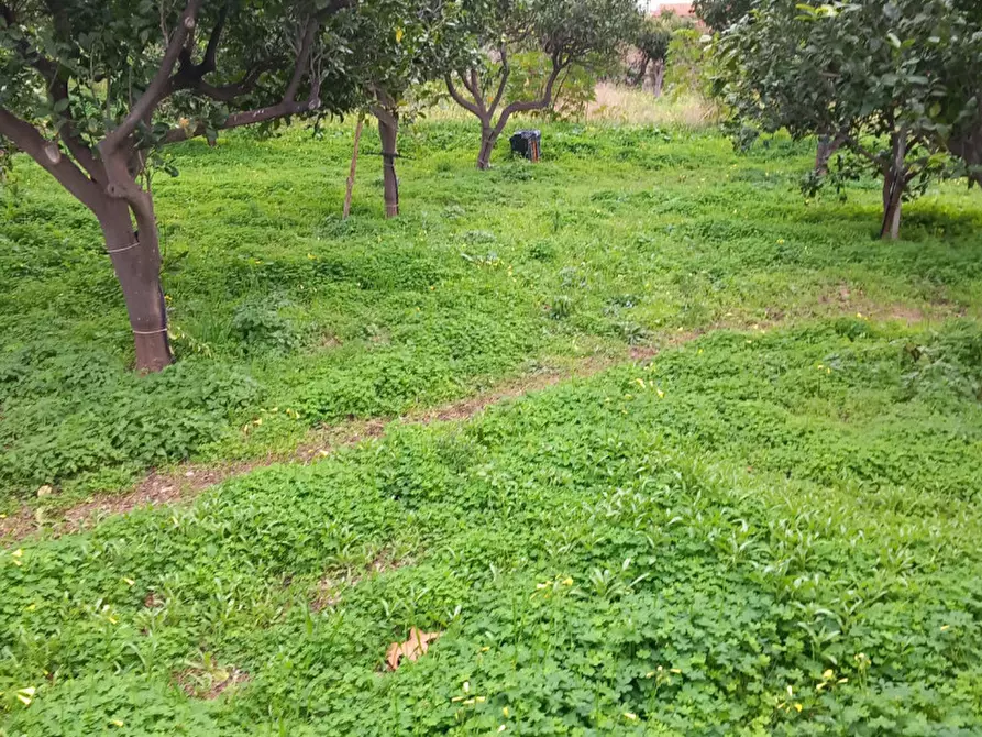 Immagine 14 di Villa in vendita  a Reggio Di Calabria