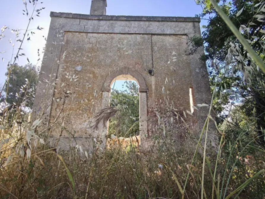 Immagine 2 di Rustico / casale in vendita  in Signora pulita a Fasano