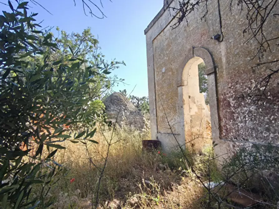 Immagine 3 di Rustico / casale in vendita  in Signora pulita a Fasano