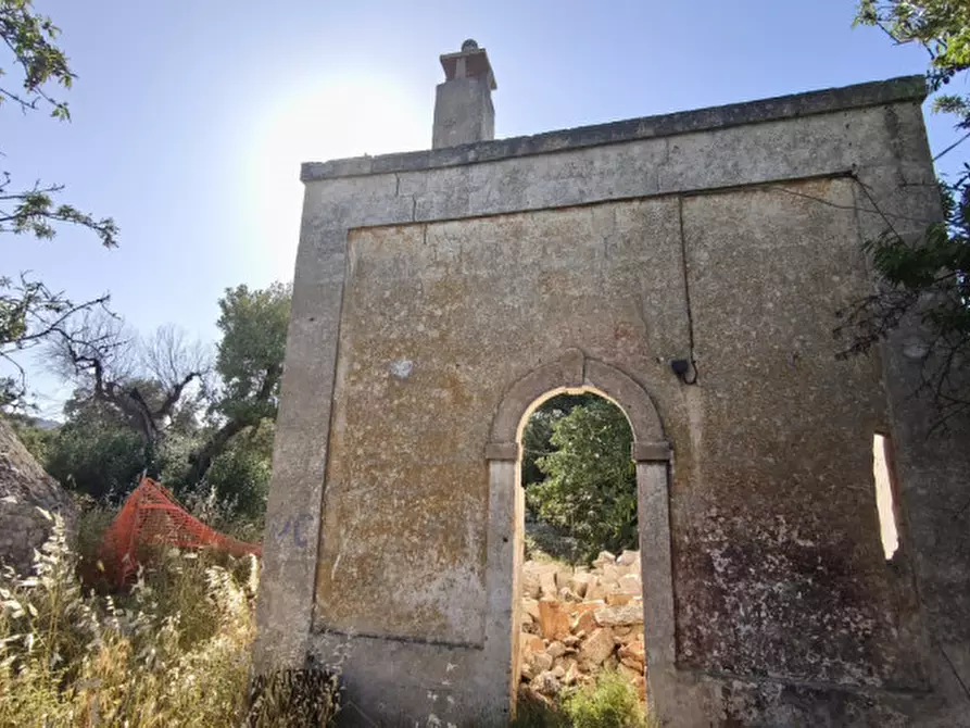Immagine 5 di Rustico / casale in vendita  in Signora pulita a Fasano