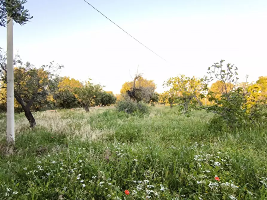 Immagine 10 di Rustico / casale in vendita  in Signora pulita a Fasano