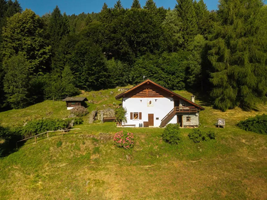 Immagine 2 di Rustico / casale in vendita  in Località Pafse a Porte Di Rendena