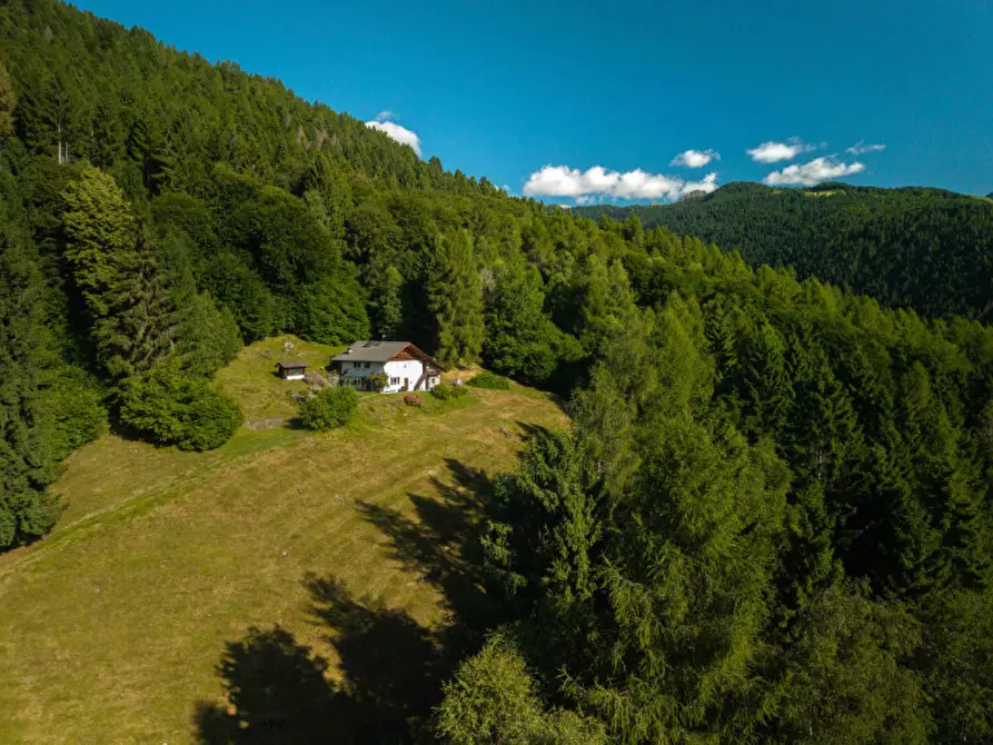 Immagine 3 di Rustico / casale in vendita  in Località Pafse a Porte Di Rendena