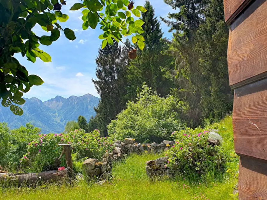 Immagine 7 di Rustico / casale in vendita  in Località Pafse a Porte Di Rendena
