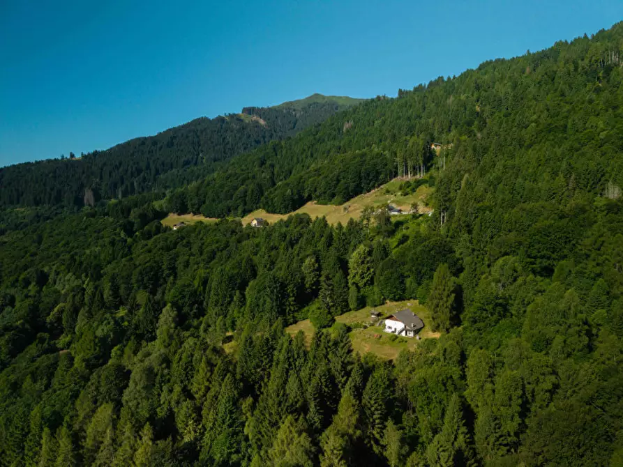Immagine 8 di Rustico / casale in vendita  in Località Pafse a Porte Di Rendena