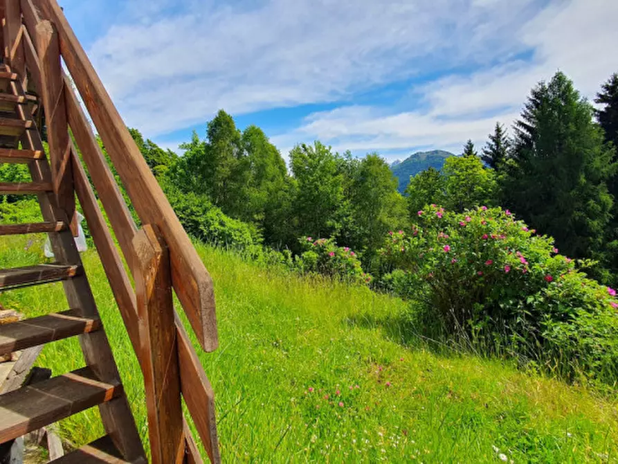 Immagine 10 di Rustico / casale in vendita  in Località Pafse a Porte Di Rendena