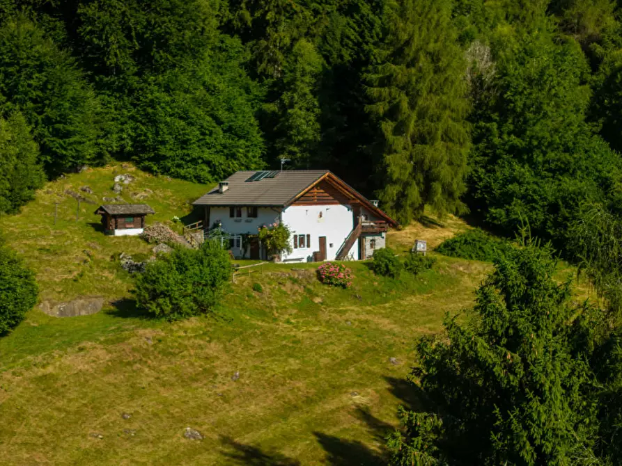 Immagine 15 di Rustico / casale in vendita  in Località Pafse a Porte Di Rendena