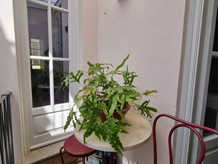 Immagine 16 di Appartamento in affitto  in VIA DELLE PINZOCHERE a Firenze